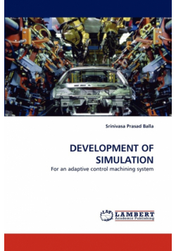 Development of Simulation