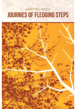 Journies of Fledging Steps