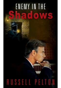 Enemy in the Shadows