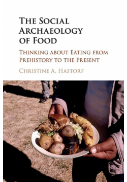 The Social Archaeology of Food