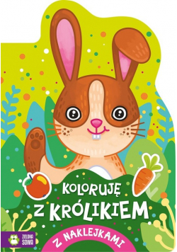Koloruję z królikiem
