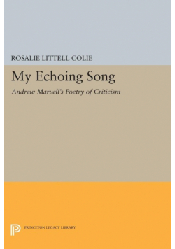 My Echoing Song