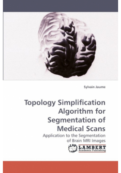 Topology Simplification Algorithm for Segmentation of Medical Scans