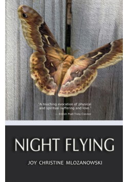 Night Flying