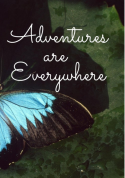 Adventures Are Everywhere