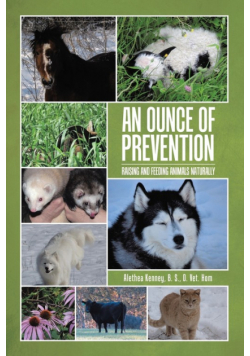 An Ounce of Prevention