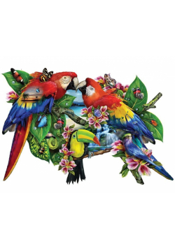Puzzle 1000 Papugi, Lori Schory
