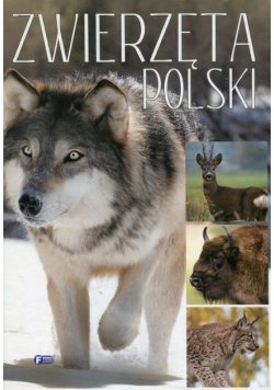 Zwierzęta Polski