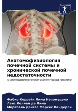 Анатомофизиология почечной системы и хронической почечной недостаточности