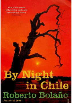 By Night in Chile
