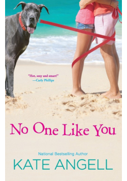 No One Like You