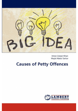 Causes of Petty Offences
