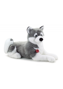 Husky klasyczny XXL