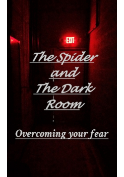 The Spider and the Dark Room