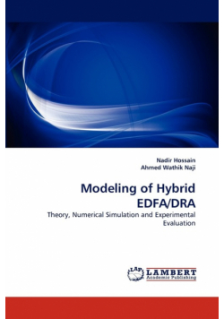 Modeling of Hybrid EDFA/DRA