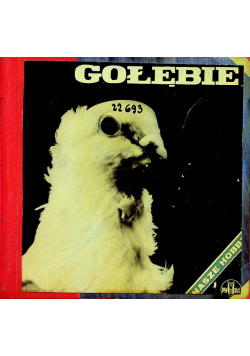 Gołębie