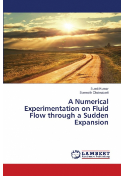 A Numerical Experimentation on Fluid Flow through a Sudden Expansion
