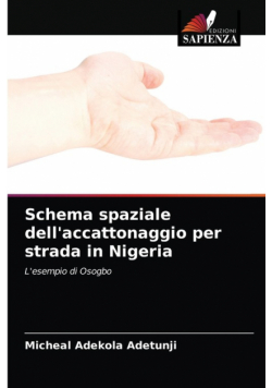 Schema spaziale dell'accattonaggio per strada in Nigeria