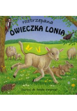 Roztrzepana owieczka Lonia
