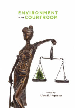 Environment in the Courtroom