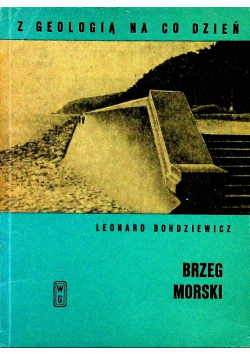 Brzeg morski