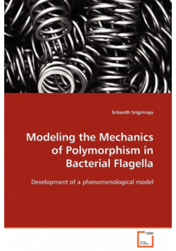 Modeling the Mechanics of Polymorphism in Bacterial Flagella