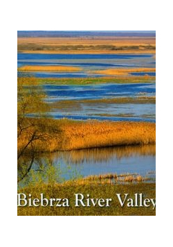 Biebrza River valley