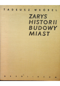 Zarys historii budowy miast