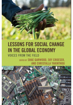 Lessons for Social Change in the Global Economy