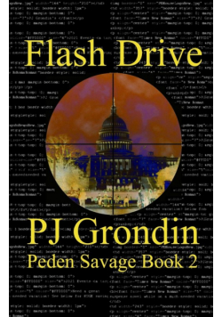 Flash Drive