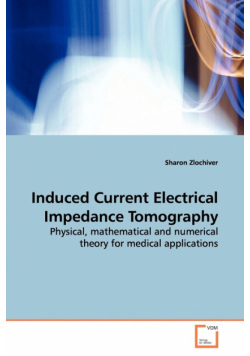Induced Current Electrical Impedance Tomography