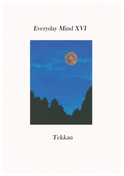 Everyday Mind XVI