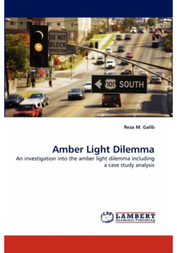 Amber Light Dilemma