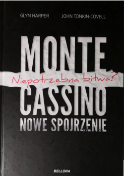Monte Cassino nowe spojrzenie