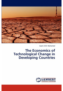 The Economics of Technological Change in Developing Countries