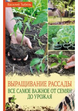 Выращивание рассады. Все самое важное от семян до урожая