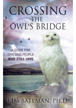 Crossing the Owl's Bridge