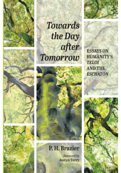 Towards the Day after Tomorrow