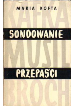 Sondowanie przepaści