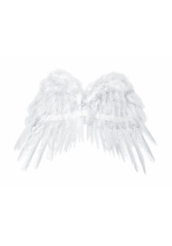 Skrzydła anioła 53x37cm