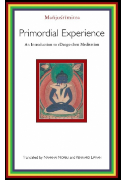Primordial Experience