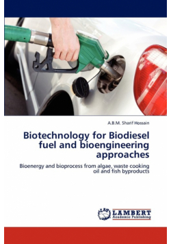 Biotechnology for Biodiesel Fuel and Bioengineering Approaches