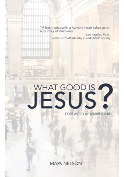 What Good is Jesus?