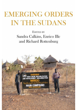 Emerging Orders in the Sudans