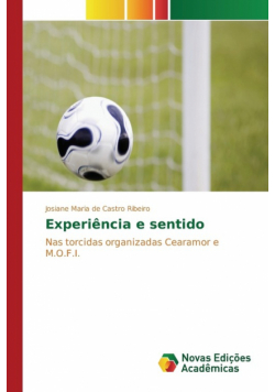 Experiência e sentido