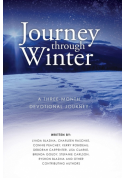 Journey through Winter
