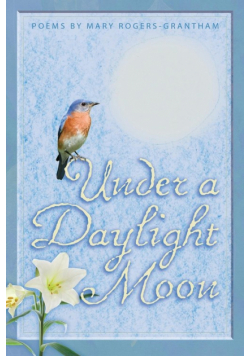 Under A Daylight Moon