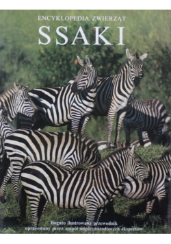 Encyklopedia zwierząt ssaki