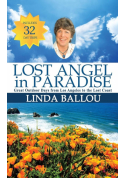 Lost Angel in Paradise