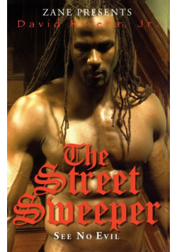 The Street Sweeper